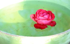 acqua di rose benefici sulla pelle