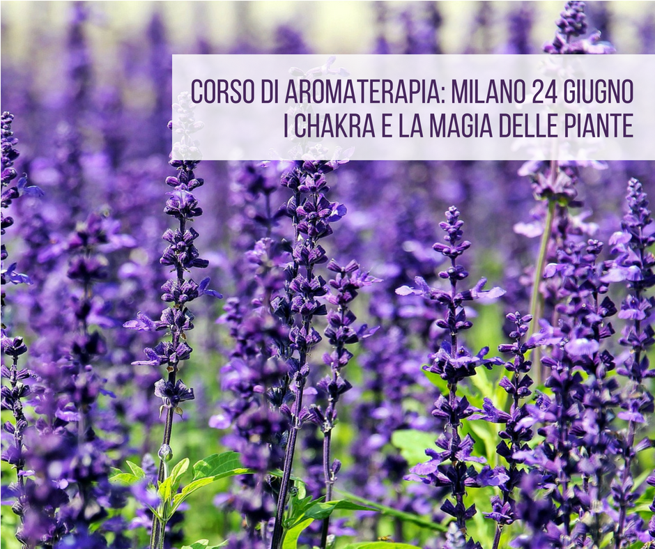 Corso di aromaterapia Milano 24 giugno: i chakra e la magia delle piante
