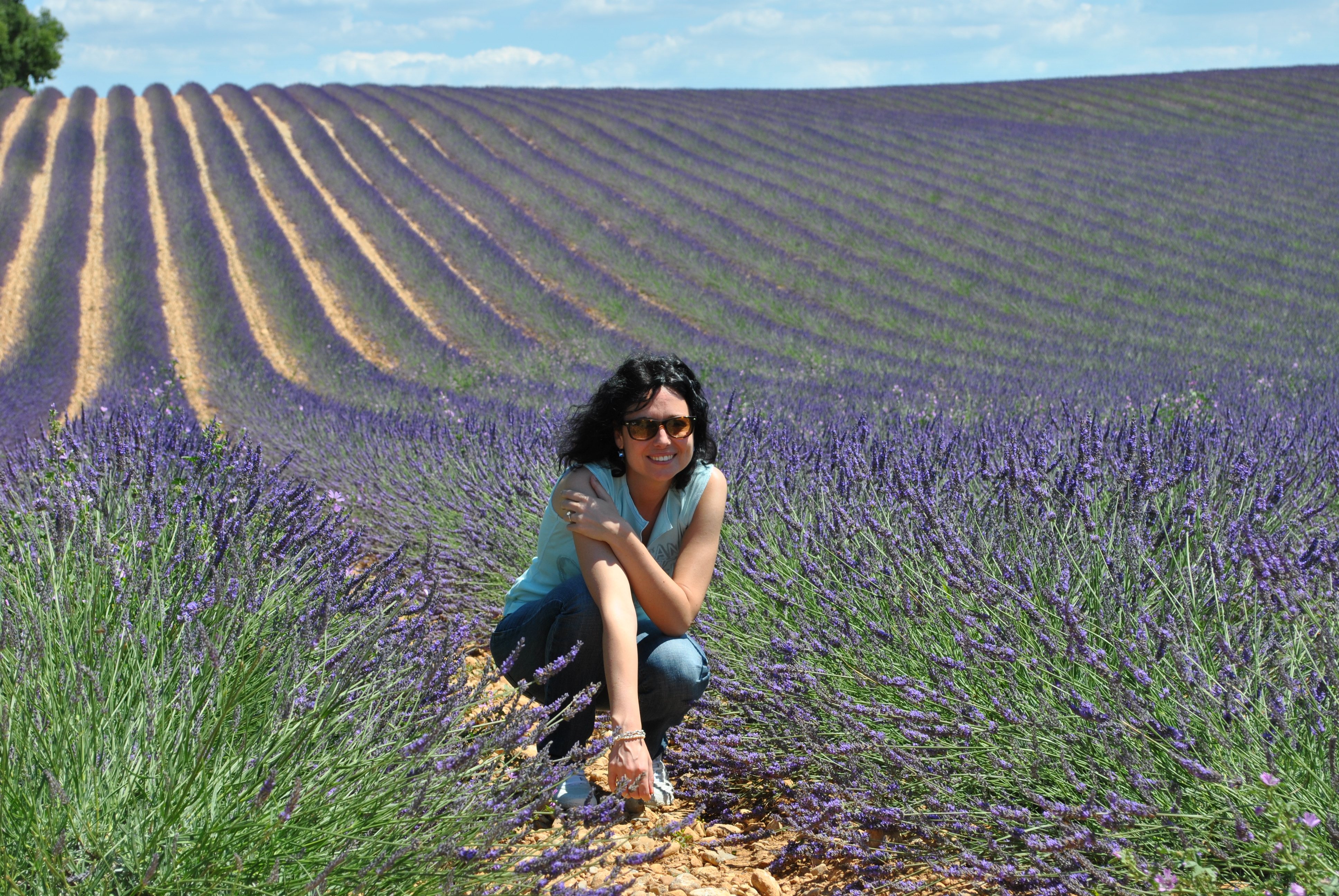 Fleuri en Provence