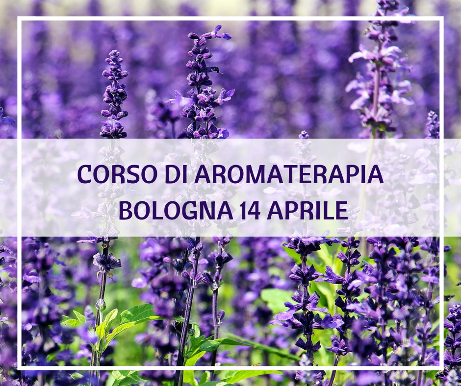 Corso di aromaterapia Bologna 14 aprile: sinergie profumate con gli oli essenziali