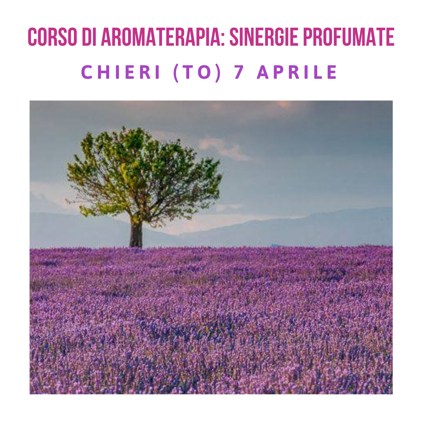 Corso di aromaterapia Torino 7 aprile: sinergie profumate con gli oli essenziali